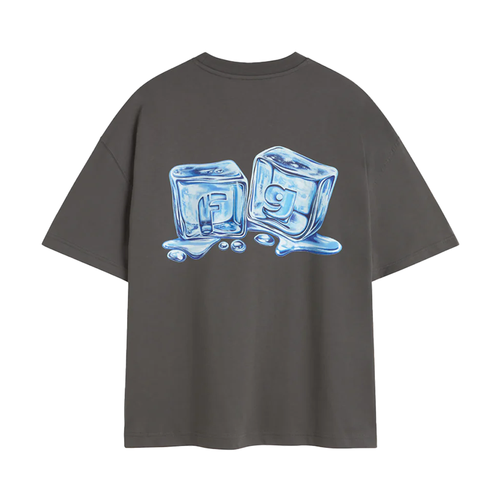 Newcop Fakegods Ice Cube Tee Daek Grey Ropa 2
