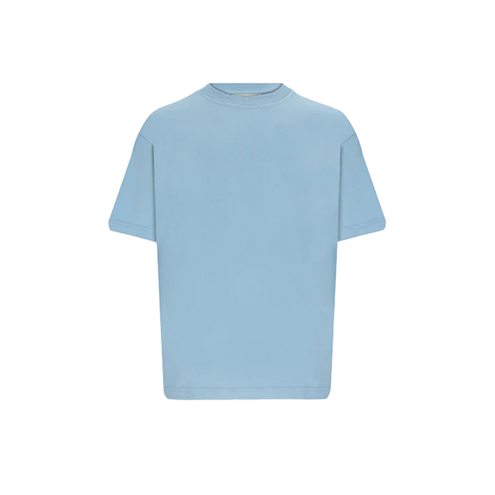 Magnolia Heavy Blank T-Shirt Arctic