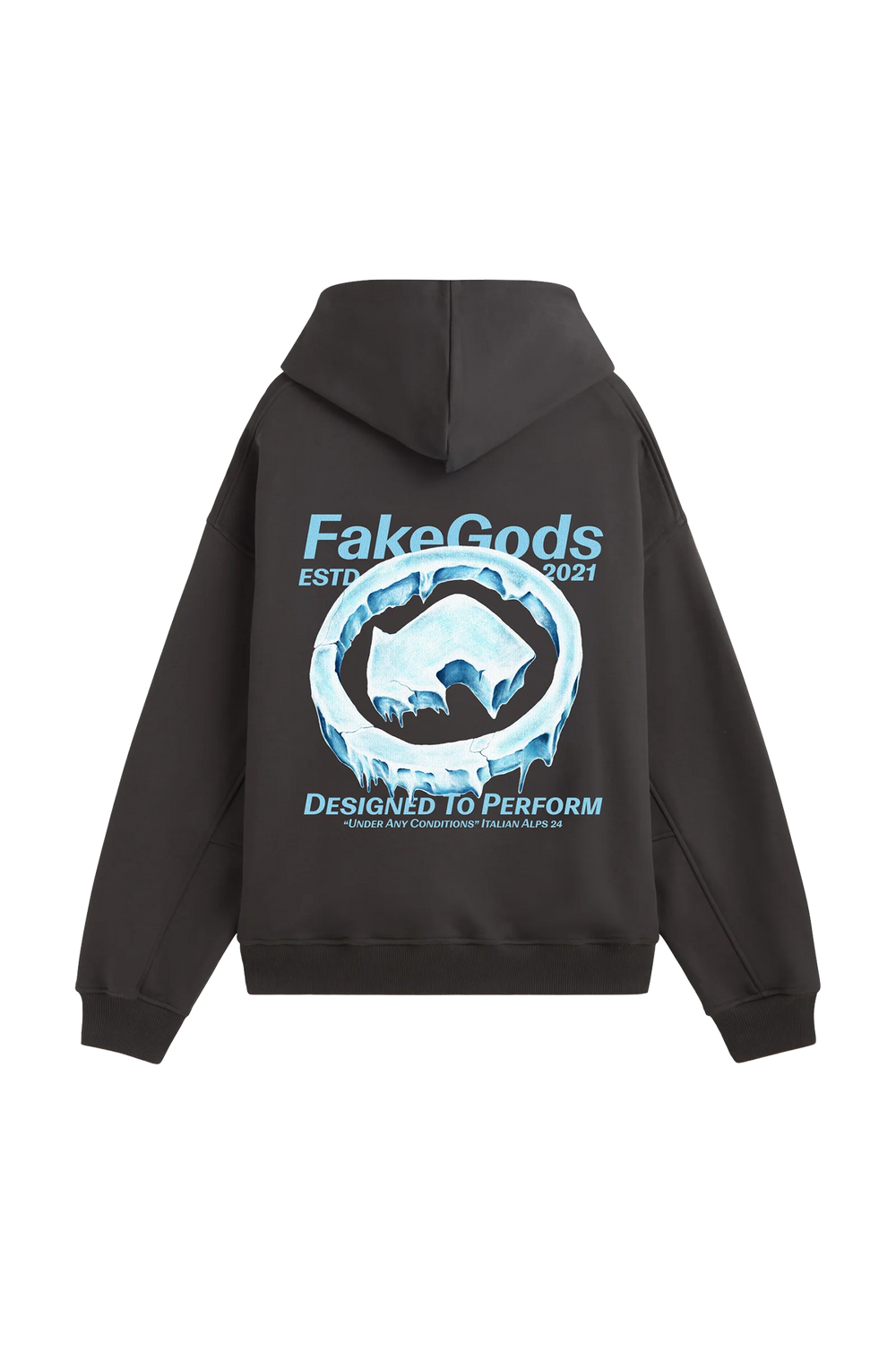 Newcop Fakegods Iced Logo Hoodie Dark Grey Ropa 2