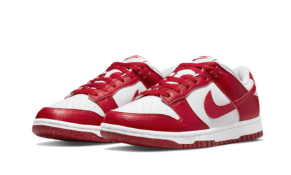 Dunk Low Next Nature Gym Red2