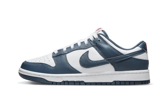 Newcop Dunk Low Valerian Blue Zapatillas 1